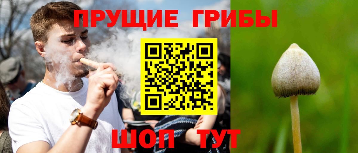 Галлюциногенные грибы GOLDEN TEACHER Печора